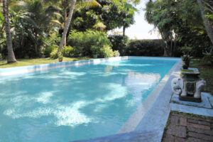 Sunlit outdoor resort swimming pool surrounded by tropical greenery