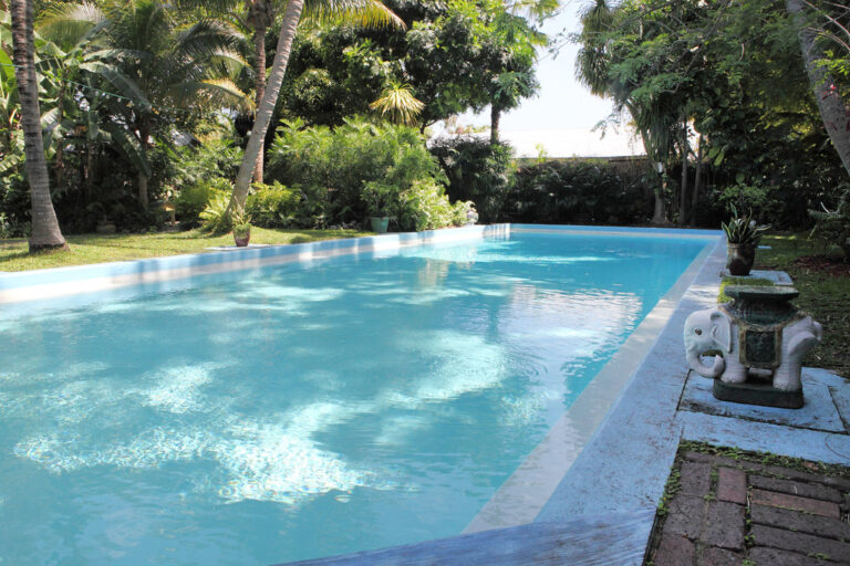Sunlit outdoor resort swimming pool surrounded by tropical greenery