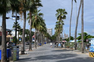 Sunny palm-tree-lined promenade on a bright winter day in Florida