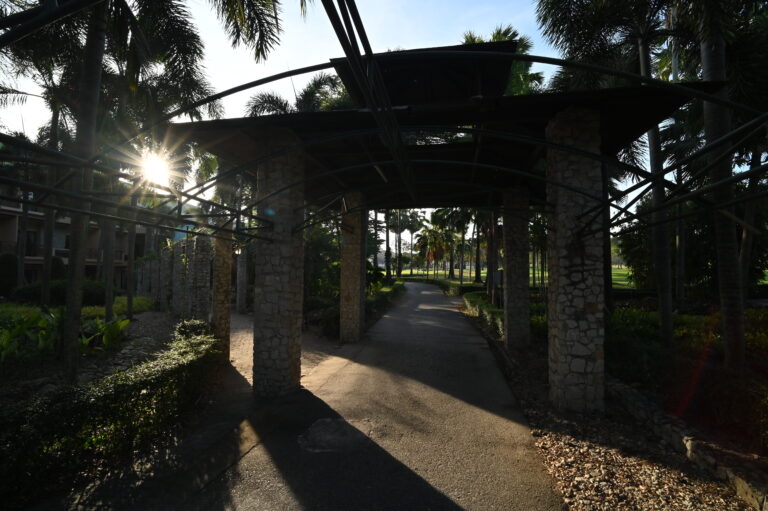 Shaded garden pathway winding past palm trees and pergolas