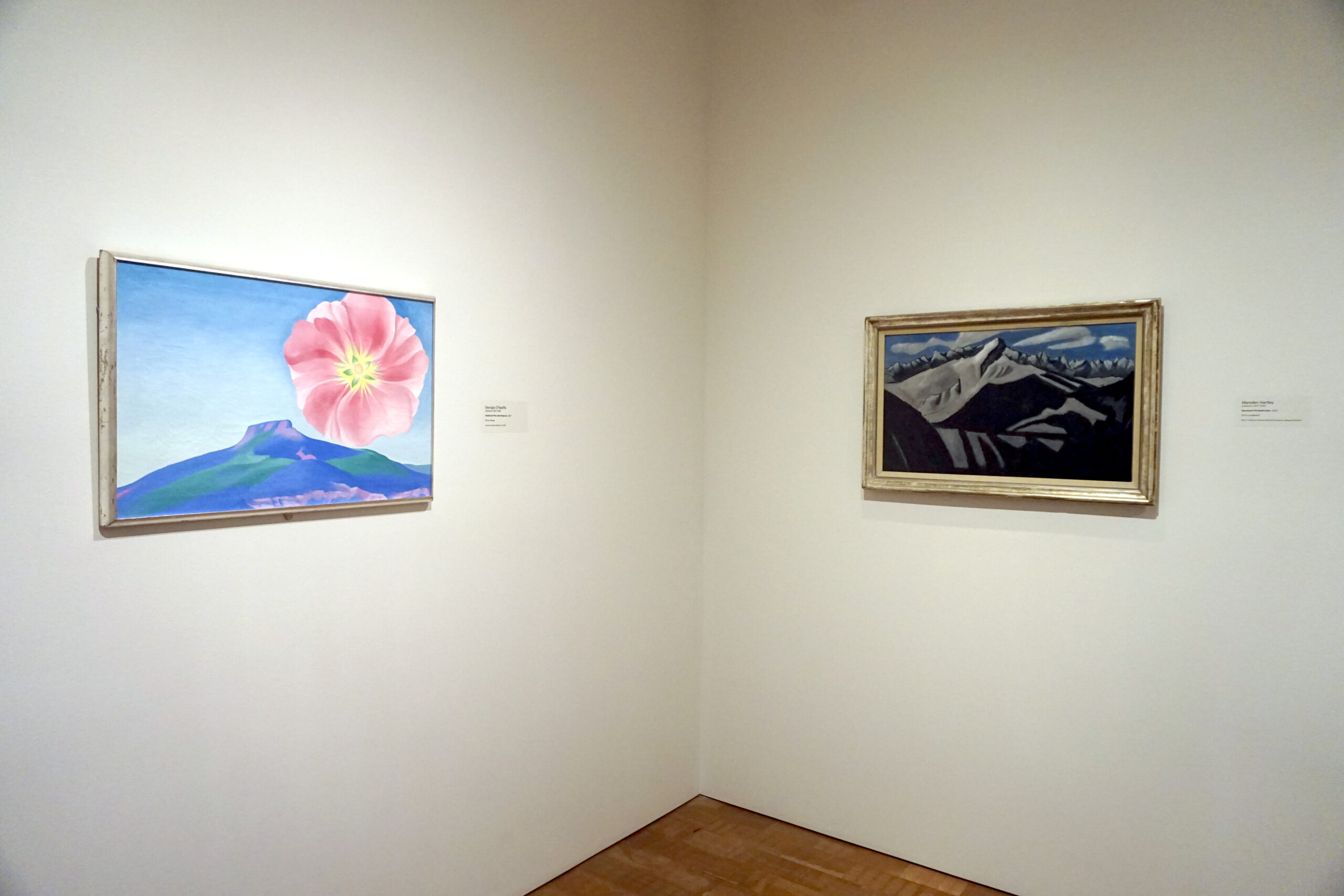Bright modern art gallery interior with paintings on display
