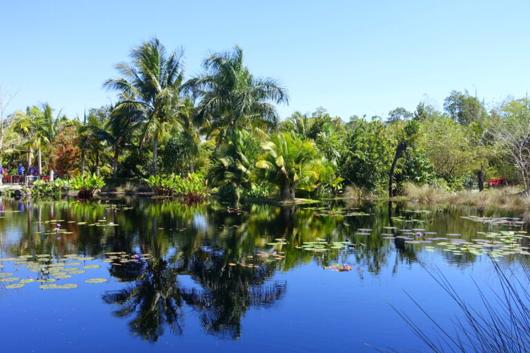 Lush water garden with tropical plantings at Naples Botanical Garden